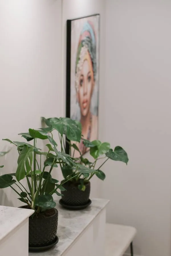 L'entrée : Plantes et portrait de femme